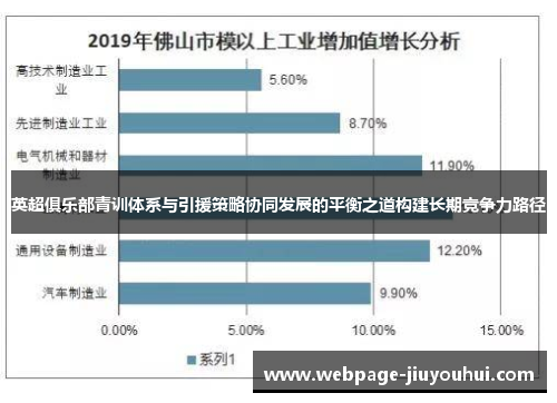 英超俱乐部青训体系与引援策略协同发展的平衡之道构建长期竞争力路径
